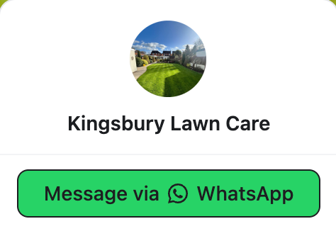 The Broadcaster WhatsApp lead generation widget in its closed state, ready for a visitor to click
